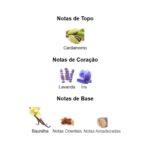 Le Male Le Parfum - Fracionado - Imagem 3